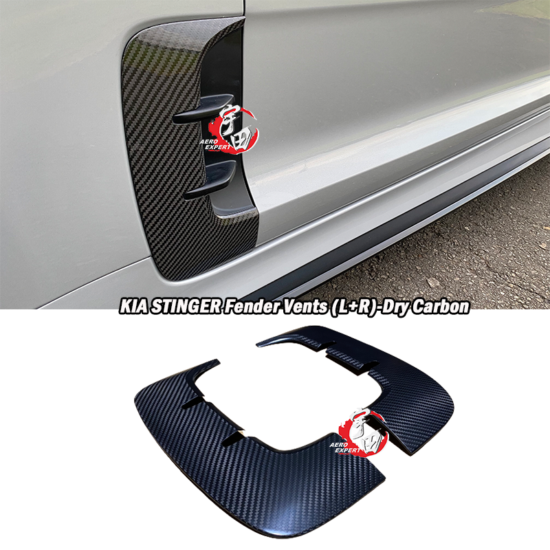 2018-2022 KIA Stinger Fender Vents (L+R)-Dry Carbon